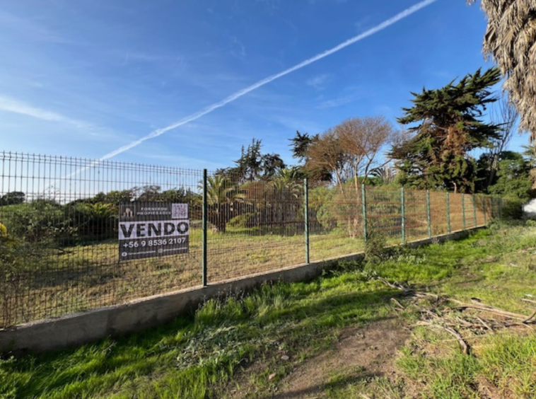 Venta Terreno Los Nísperos La Serena