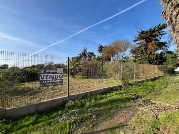 Venta Terreno Los Nísperos La Serena